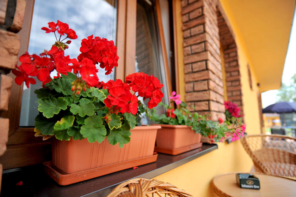 Penzion Anesis - Apartmany Turčianske Teplice Buitenkant foto